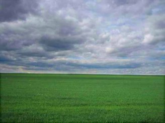 HighPlainsSpringB_0446